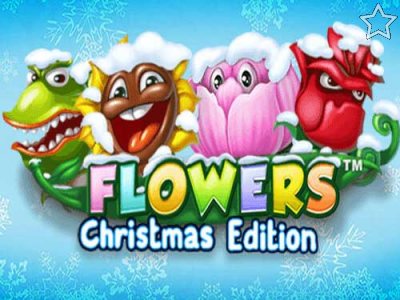 Flowers Christmas Edition